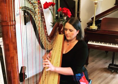 Aisleagh Concert Harpist